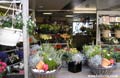 Egmond Niederlande - Blumen Laden
